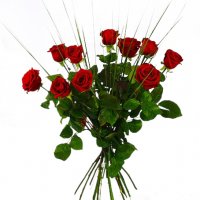 10 röda rosor - Rosor - Skicka blommor %city%