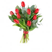 Röda tulpaner - Tulpaner - Skicka blommor & presenter i %city%